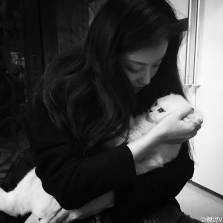 ���ݺͷ��ܷ����ԭ����� ����Ϊʲô������