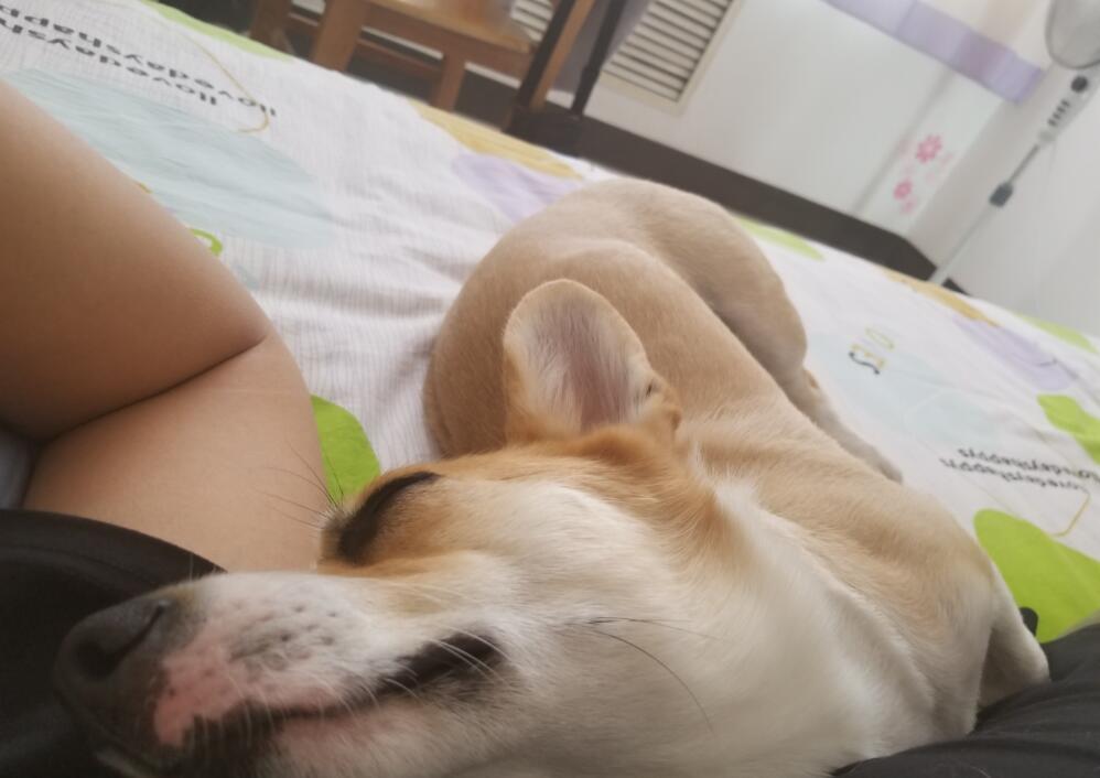 ��û��һ�����³� �������һ������