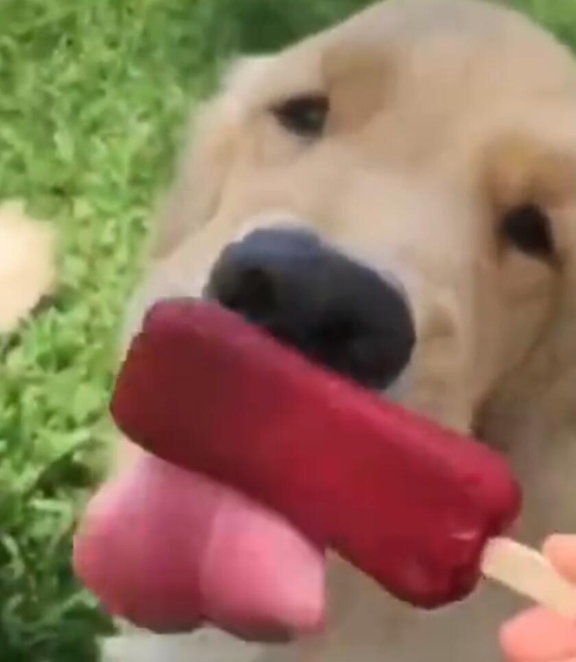 ��û��һ�����³� �������һ������