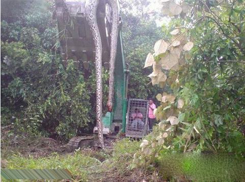 ��ǧ��ǰ��Ĺ�ڳ���� ��Ĺ�ڳ���˯ǧ�����