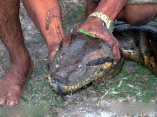 ��ǧ��ǰ��Ĺ�ڳ���� ��Ĺ�ڳ���˯ǧ�����