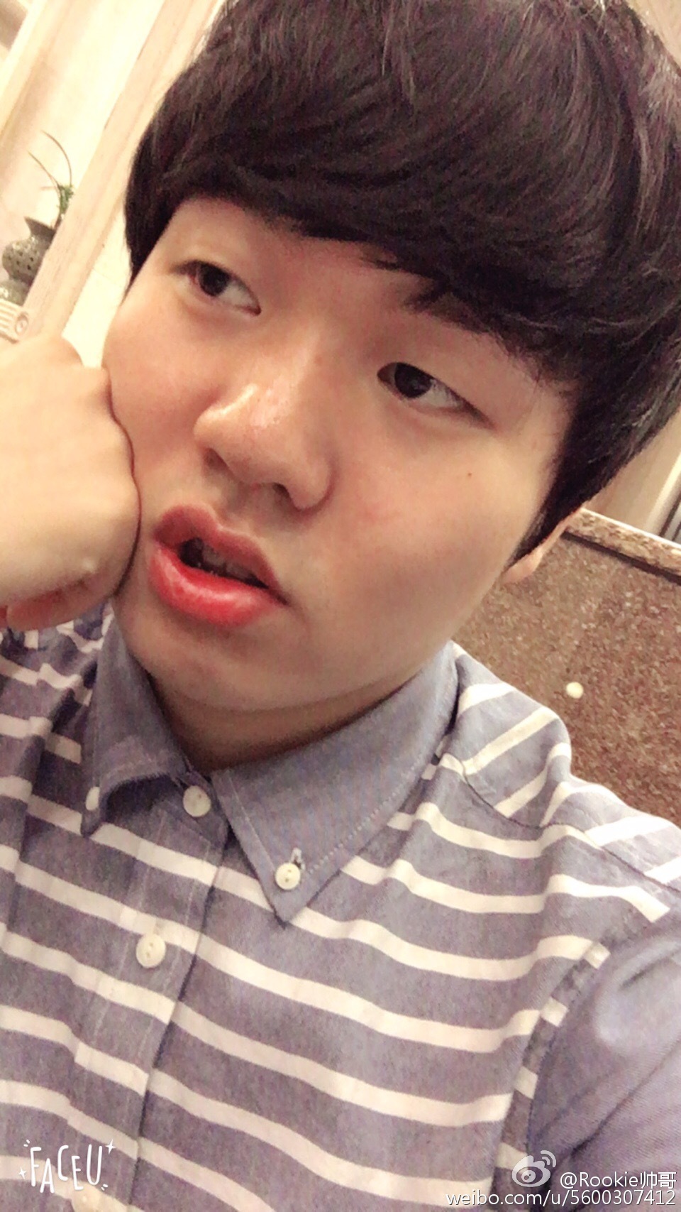 rookie��ʲô��˼ Ϊʲô��ҽ����⼦��