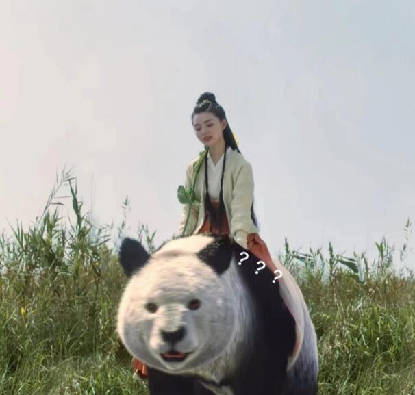 �Ǻǹ�������������� �Ǻǹ���Ĵ�è���