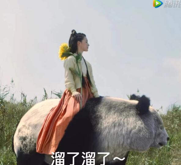 �Ǻǹ�������������� �Ǻǹ���Ĵ�è���