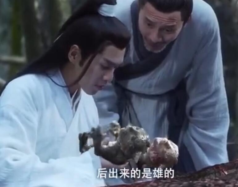 小虎夔后来怎么样了 结局如何 虎夔是什么东西