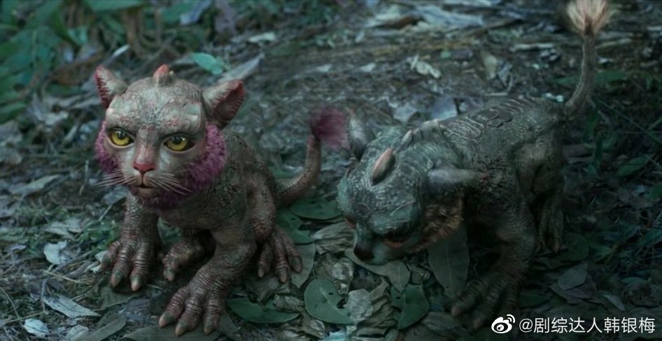 小虎夔后来怎么样了 结局如何 虎夔是什么东西