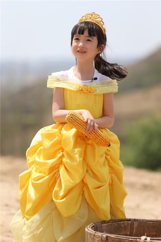 ���踸�����Ĺ�����ʲô�� ����Ϊʲô����