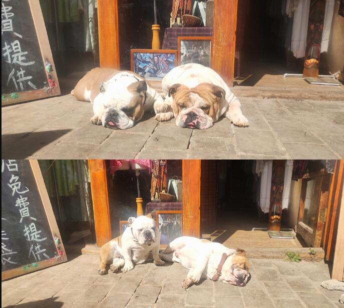 ɳƤ�������� ɳƤ����������ʲô��˼