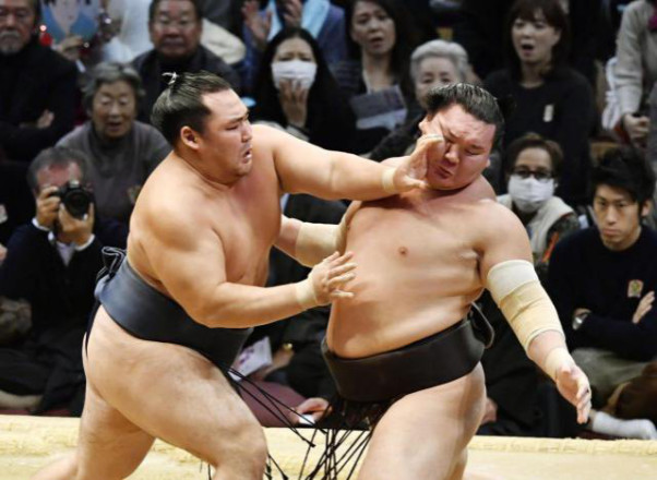 �ձ������ֵ������ձ���� �ձ�֪������ѡ�ֵ�����ͼ