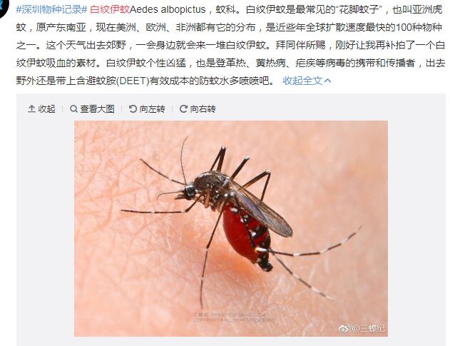 ��������ҧ����ô�� �������ú���ͨ����˭����ǿ