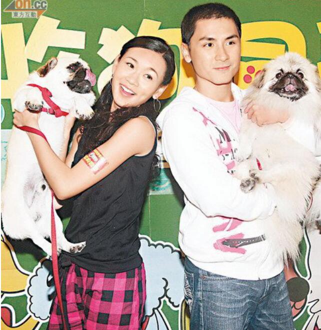 ��Ҷ�����˼����ʲô��ϵ ��Ϊʲô�����ô����