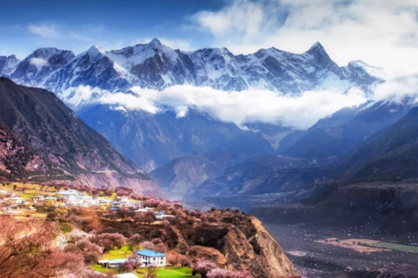 ��ɽ�����׸�����ʲô��˼ ���Ĳ���Ӱ��������