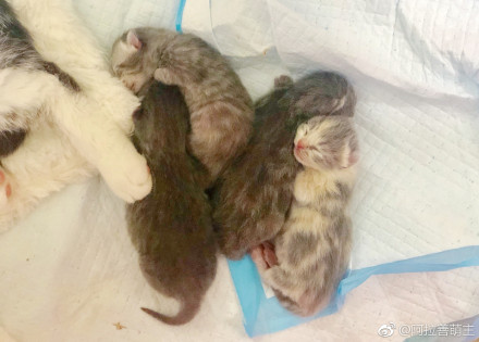 Сè����ò������� è�����˵ļ����ж��