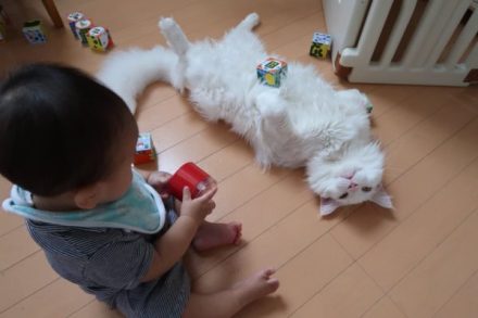 Сè����ò������� è�����˵ļ����ж��