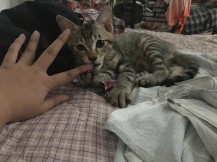 Сè����ò������� è�����˵ļ����ж��