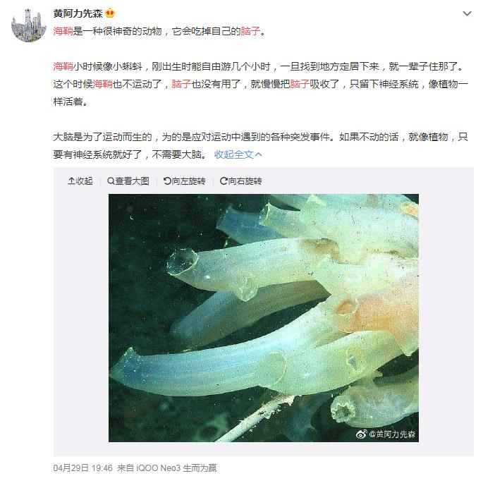 ����˵�㺣����ʲô��˼ ������ô���Լ��Ĵ���