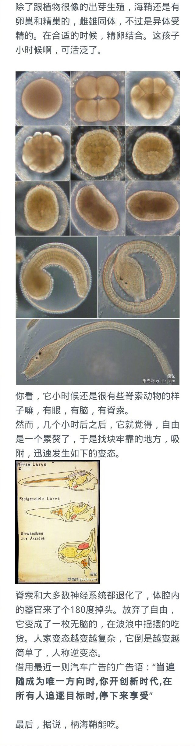 ����˵�㺣����ʲô��˼ ������ô���Լ��Ĵ���