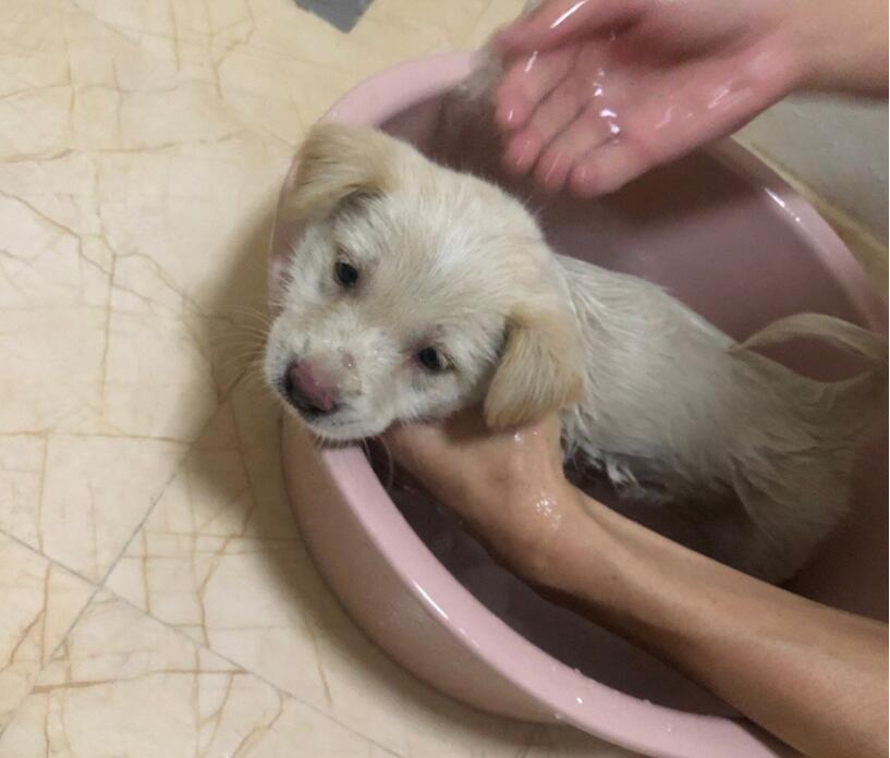 С�̹���ʲô���͵����� �����ɰ��Ȼ��ĵ�С�̹�