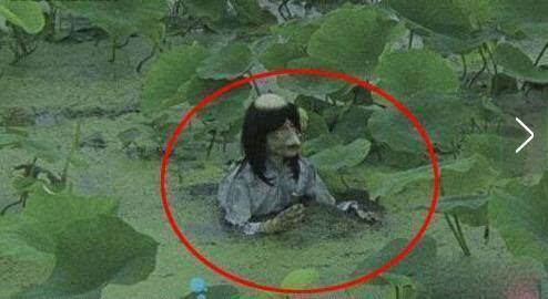 河童图片可怕真实恐怖 河童是什么动物