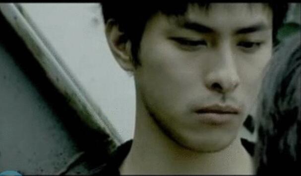 ��ֲΰΪʲô�������豻��Ϊ���� ������ʱ�����Ƭ��ͼ