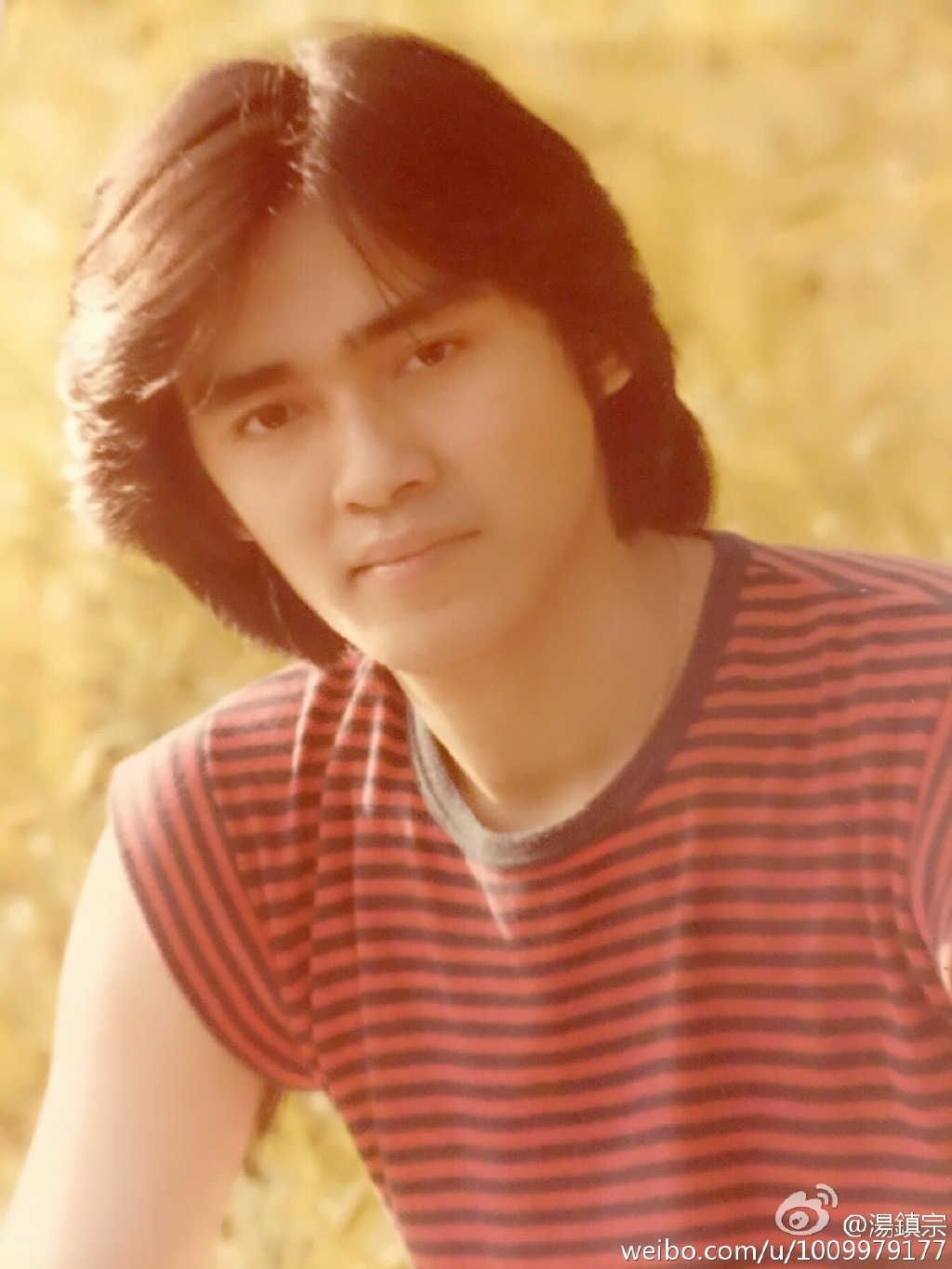汤镇宗的话,还可能同意,可见在当时,汤镇宗的颜值,就已经得到的傅艺伟