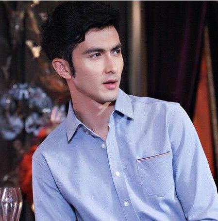 高伟光是杨幂工作室的吗 高伟光是不是真的混血儿