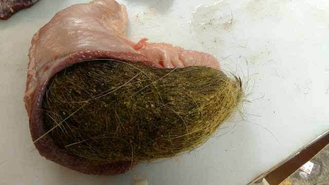 猪砂和朱砂一样吗 猪砂是什么东西