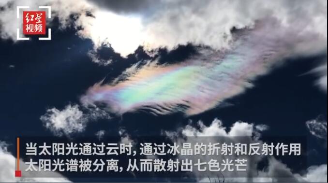 �߲�������ʲô��ɫ����������ɫ ����˭���߲�����