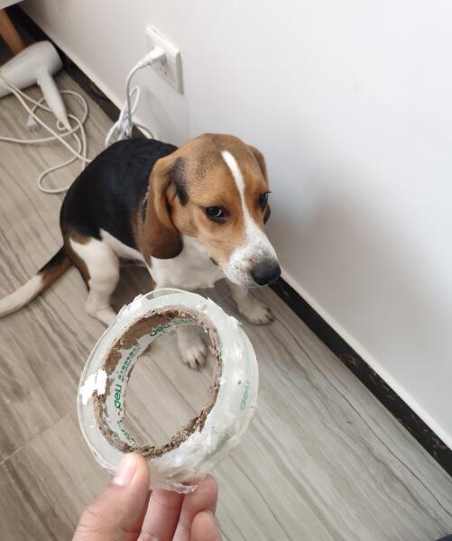 �ȸ�Ȯ������÷����Ӵ����������ʲô��˼