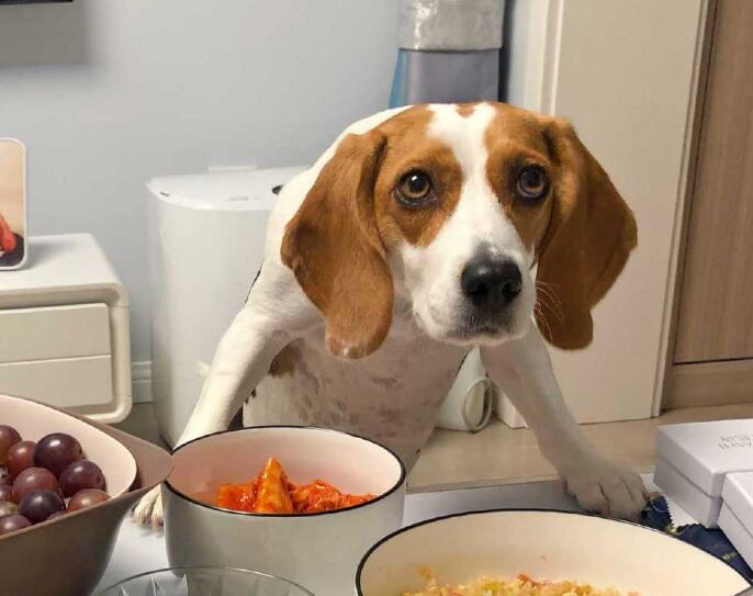 �ȸ�Ȯ������÷����Ӵ����������ʲô��˼