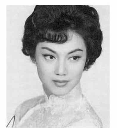 张冰茜个人资料是混血吗 关之琳和张冰茜长得好像