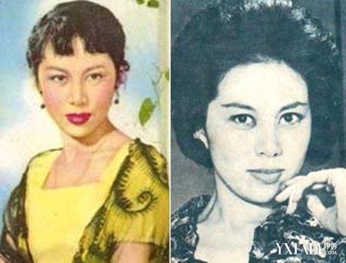 张冰茜个人资料是混血吗 关之琳和张冰茜长得好像