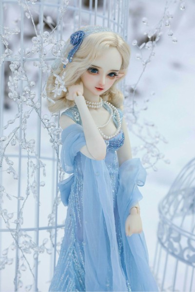�������ż���޵Ľ��� ��ѧ֤�����������������