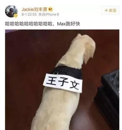 王子文的老公终于被扒出来了 王子文身高155cm真的假的