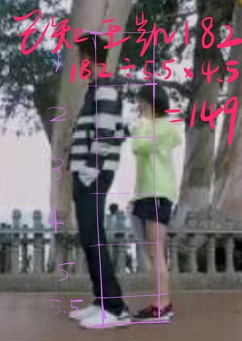 王子文的老公终于被扒出来了 王子文身高155cm真的假的