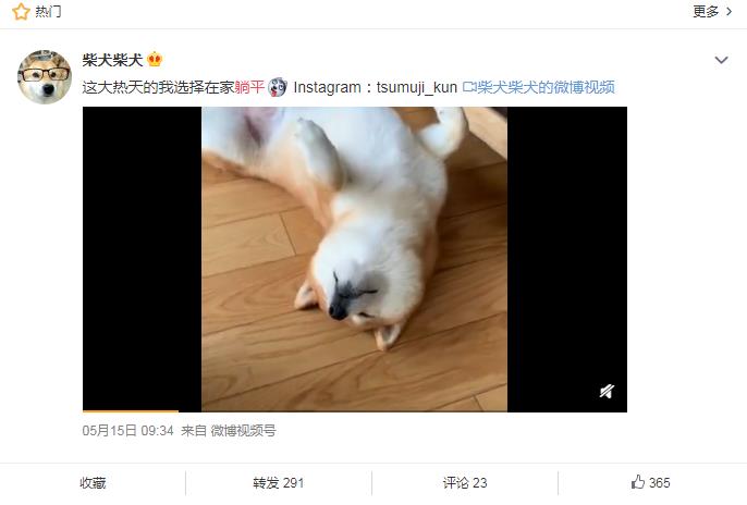 ��ƽ��ʲô��˼ ������ƽ����ʲô��