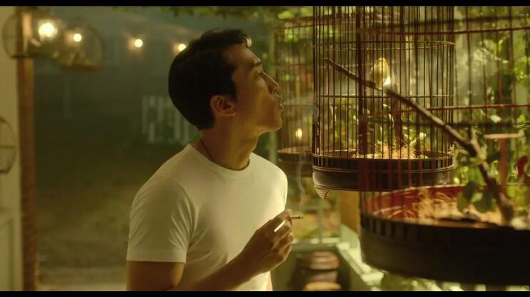 �γ���Ϊʲô���˼��ж���ô��߶ȵĵ�Ӱ ��Ϊ��������