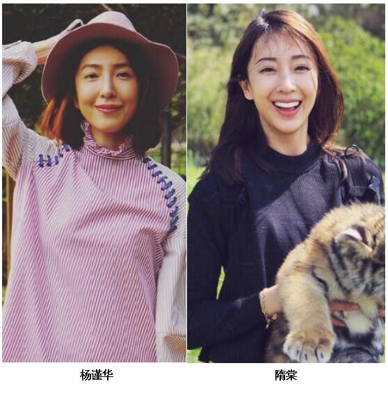 杨谨华和隋棠好像对比照 隋棠老公做什么的多少岁了