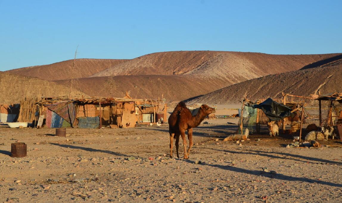 ������ɳĮ���˳�ʲô ��Ȼ��һ���Լ������淽��