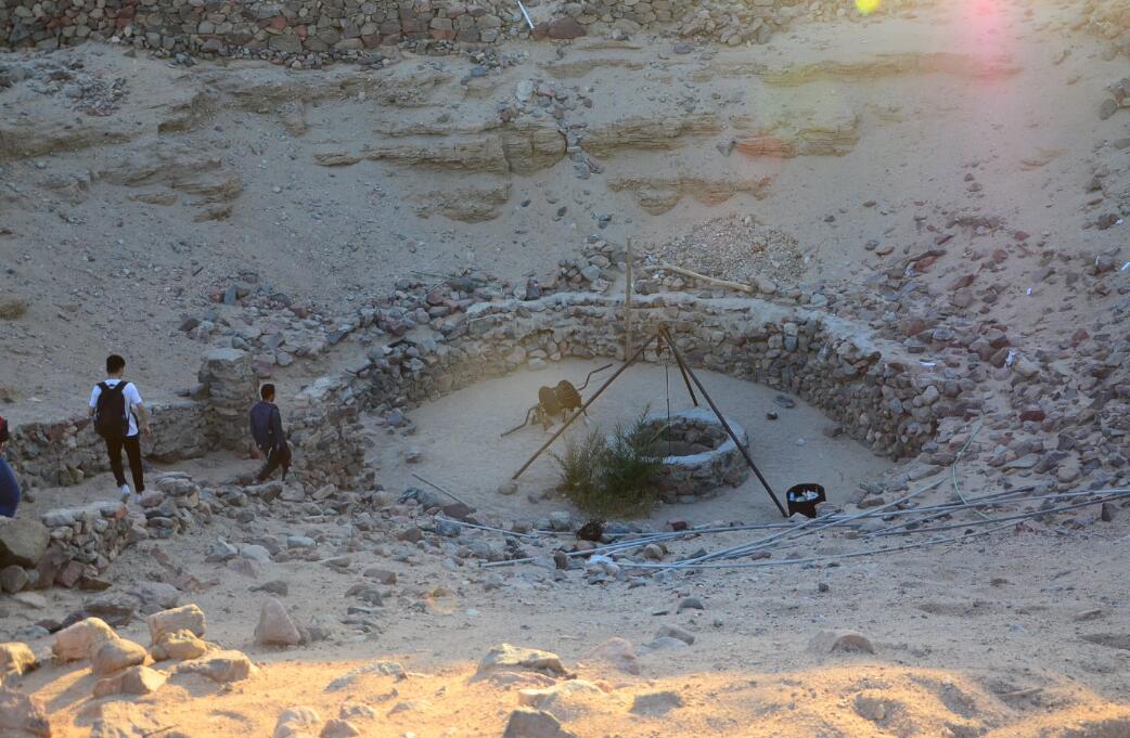 ������ɳĮ���˳�ʲô ��Ȼ��һ���Լ������淽��