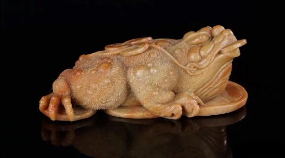 金蟾是癞蛤蟆吗 活金蟾可以随便养吗