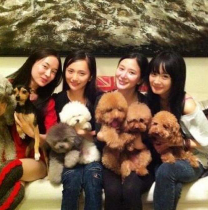 Ф�������������������� �����������ַ���