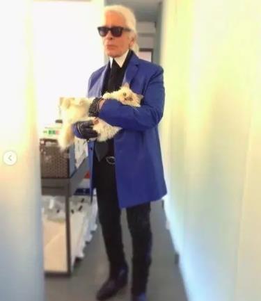 �Ϸ�ү�����������ժ���۾�����Ƭ ����è������ô����