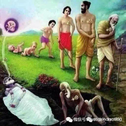 �����೤ʱ��Ͷ̥ Ͷ̥ʱ����ôѡ��ĸ��