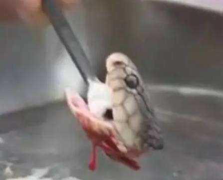 ������Ϊʲô���ᶯ ��ͷ��˵����͸͸��