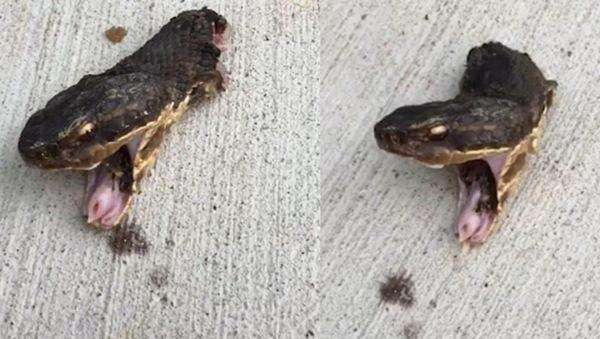 ������Ϊʲô���ᶯ ��ͷ��˵����͸͸��