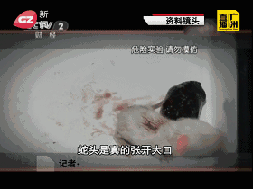 ������Ϊʲô���ᶯ ��ͷ��˵����͸͸��