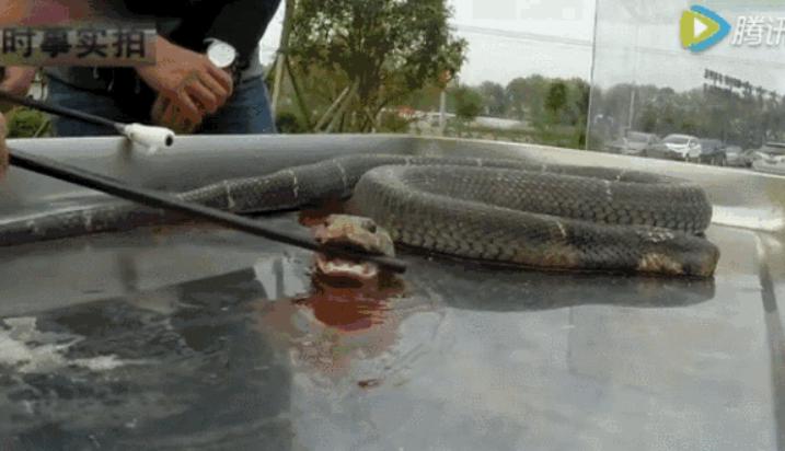 ������Ϊʲô���ᶯ ��ͷ��˵����͸͸��