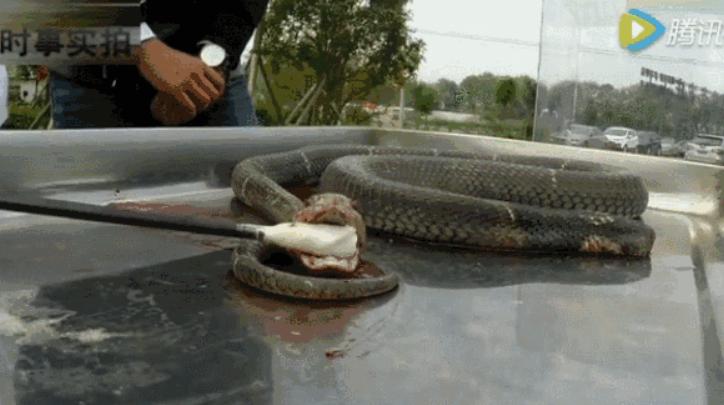 ������Ϊʲô���ᶯ ��ͷ��˵����͸͸��