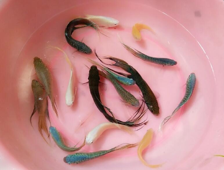 ������ô�� ��һֱ������ȥ����Ҫһ�㼼��